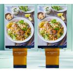 2.88 Inch  TFT Display Module 480*640 Resolution 400cd Brightness GC9503V Driving IC    MIIPI 2l/RGB16 Bit Interface for sale
