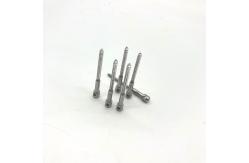 China black self tapping screws M3x30 Electric Meter sealing Screw Small Self Tapping Screws supplier