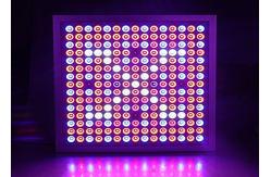 China Lightweight Energy Efficient Grow Lights Led Flowering Grow Lights 3 Years Warranty supplier