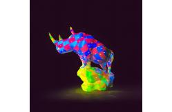 China Immersive Projection 3d Mapping Digital Art Holographic Video Ar Animation Artworks supplier