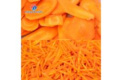 China Multifunction Cucumber Shredded Radish Vegetable Processing Machine bamboo shoots supplier