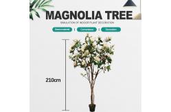 China 210cm Artificial Magnolia Tree For House Office Long Lasting Evergreen Plants supplier