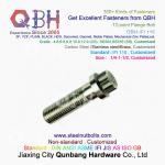 QBH IFI115 - 2002 Gas Turbine Power Plant Aerospace SS304 SS316 Plain 1/4 To 1-1/2 Inch Flange 12-Point 12 Spline Screws for sale
