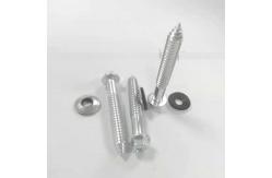 China ODM 316 Ss Self Tapping Screws , Stainless Steel Countersunk Self Tapping Screws supplier
