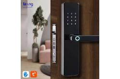 China Zinc Alloy Tuya Digital Door Lock Remote Control Intelligent Lock Tuya supplier