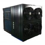 Food Processing Equipment Thermostat Hot Air Drying Machine with Low Consumption for sale