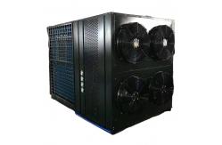 China Food Processing Equipment Thermostat Hot Air Drying Machine with Low Consumption supplier