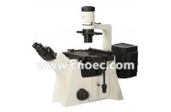 China 100X - 400X Fluorescence Microscope supplier