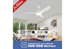 China White 220 Volt Dc Motor Energy Saving Ceiling Fan With No Noise supplier