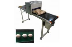 China 4A Free Upgrade Eggs Food Inkjet Printer With Full - Disk Printing Method supplier