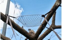 China Strong Durable 316 Stainless Steel Wire Rope Mesh For Animal Encloure supplier