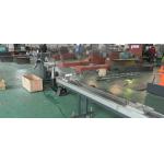 PET Twin Screw Plastic Granules Machine , High Capacity Granulator Extruder for sale
