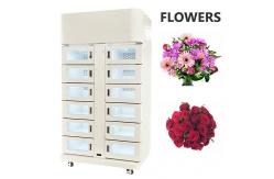 China Metal Self Service Smart Refrigerated Food Fresh Locker Frozen Storage Locker supplier
