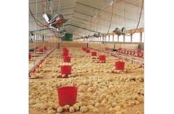 China THD2608 Poultry Gas Brooder Heater NG LPG Infrared Heating Element supplier