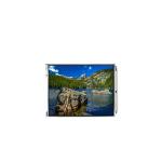 NL8060BC26-15 800*600 lcd display screen for sale