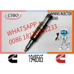 2029622 Genuine Diesel Common Rail Fuel Injector 1948565 2030519 2031836 2031835 2086663