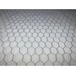 30mm Plaster Welded Galvanised Steel Chicken Wire 0.7mm Diameter for sale