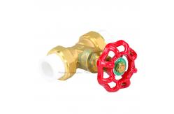China Free Sample Metal Gate Valve PN16  PPR Pipe Gate Valve For water supplier