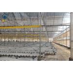 Agricultural Clear Plastic Greenhouse UV Resistant PE Film Greenhouse For Farms for sale