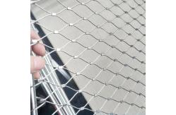 China Ultrasonic Black Oxide Animal Enclosure And Tiger Enclosure Zoo Wire Mesh supplier
