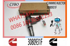 China Remanufactured Best Price Common Rail Fuel Injector 3073995F 3080931F supplier