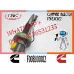 Engineering Machinery QSK19 Truck Engine System Accessories F00BJ00002 Diesel Fuel Injector for sale