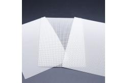 China Mining And Chemical Square Polyester Wire Mesh Custom Aperture White Plain Weave supplier