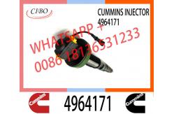 China 4964171 QSK19 Diesel Engine Common Rail Fuel Injector Y431K055582867149 2867147 4964171 supplier
