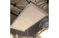 China Quantum 2x2 LED Grow Light supplier