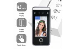 China 4.3 IPS Fingerprint Attendance System 272x480 Touch Screen Face Recognition Machines supplier