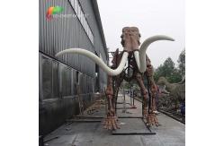 China weather reistance Real Size Replica Animal Skeletons Mammuthus Model supplier