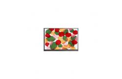 China DMC-20261NYJ-LY-CKE-CNN lcd panel display for Instruments Meters supplier