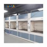 Customizable Ceramic or Customized Table Top Steel Fume Hood with High Airflow and Low Maintenance for sale