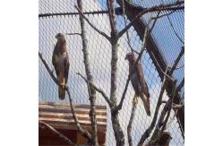 China Good Perspective Stainless Steel Zoo-Eagle Mesh With SGS / ISO 9001 Certification supplier