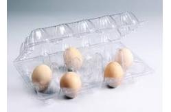 China PET Plastic Sheet Roll Reusable Quail Egg Tray Plastic Transparent supplier