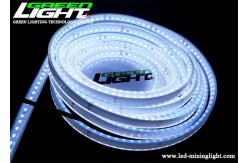 China DC24V SMD5050 Silicone Led Strip Lights 1100lm For Mining supplier