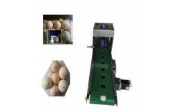 China Date Coder Number Egg Inkjet Printer With Six Sprinkler / 45ml Ink supplier