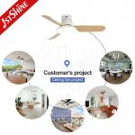 Flush Mounted Ceiling Fan With Light Remote Dimmable Led Light