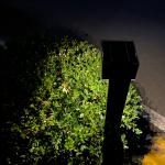 Traditional Outdoor Solar Post Lights 5V 1.6W Metal Pole Garden Accent Light for sale