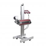 30W CO2 Laser Marking Machine Anodized Metal Engraving 110X110mm for sale