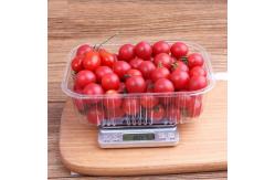 China 16.5cm Disposable Vegetable Containers supplier