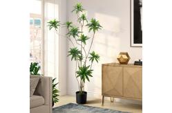 China Artificial special-shaped dracaena Reflexa tree green home deco hotel office potted tree supplier