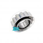 90X130.11X37mm Double Row Cylindrical Roller Bearing RSL183018A for sale