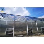 High Yield Farming Polycarbonate Greenhouse Fruit And Vegetable Greenhouse for sale