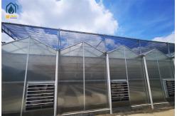 China High Yield Farming Polycarbonate Greenhouse Fruit And Vegetable Greenhouse supplier