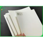 Food Grade 150gsm 250gsm Uncoated White Kraft Paper roll For Dish Plates for sale