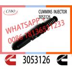 High Quality Diesel Engine Fuel Common Rail Injector 3016676 3053124 3053126