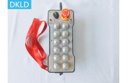 China 12 Way Single Speed Explosion-Proof Remote Control supplier