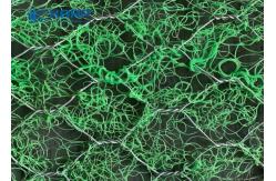 China Geo Mat Composite Wire Mesh Gabion For Environment Slope Protection supplier