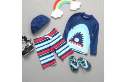 China Three Piece Boys Swimwear Sets Printed Blue Boy Bathing Suit supplier